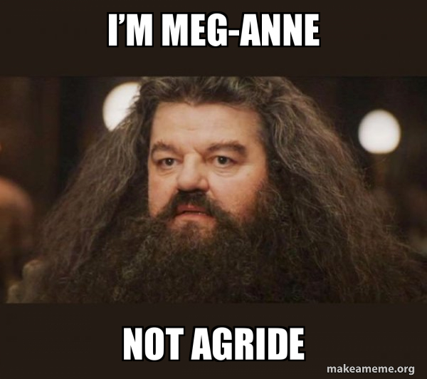 Hagrid - I should not have said that meme