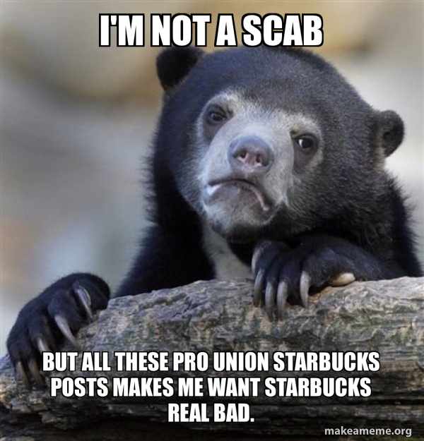 Confession Bear meme