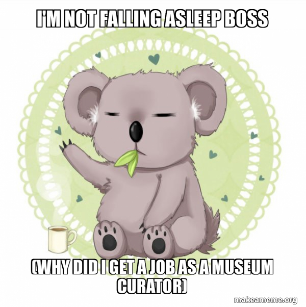 Aussie Koala doing the night shift meme