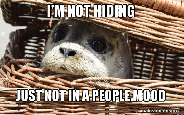 Image result for hiding from people meme animal
