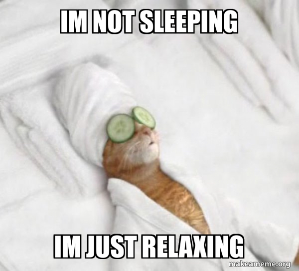 Pampered Cat Meme meme