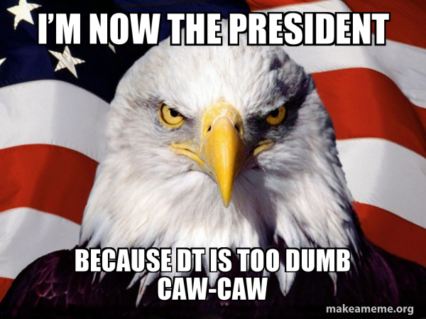 American Pride Eagle meme