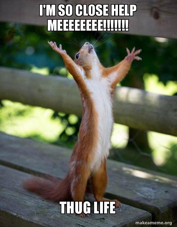 I'm so close help meeeeeeee!!!!!!! Thug life - Happy Squirrel Meme ...