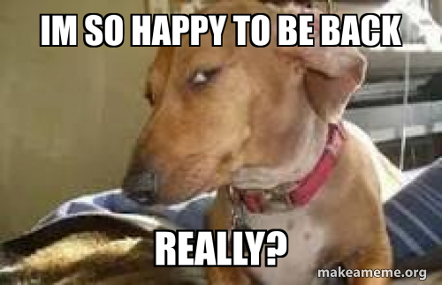 Im so happy to be back Really? Meme Generator