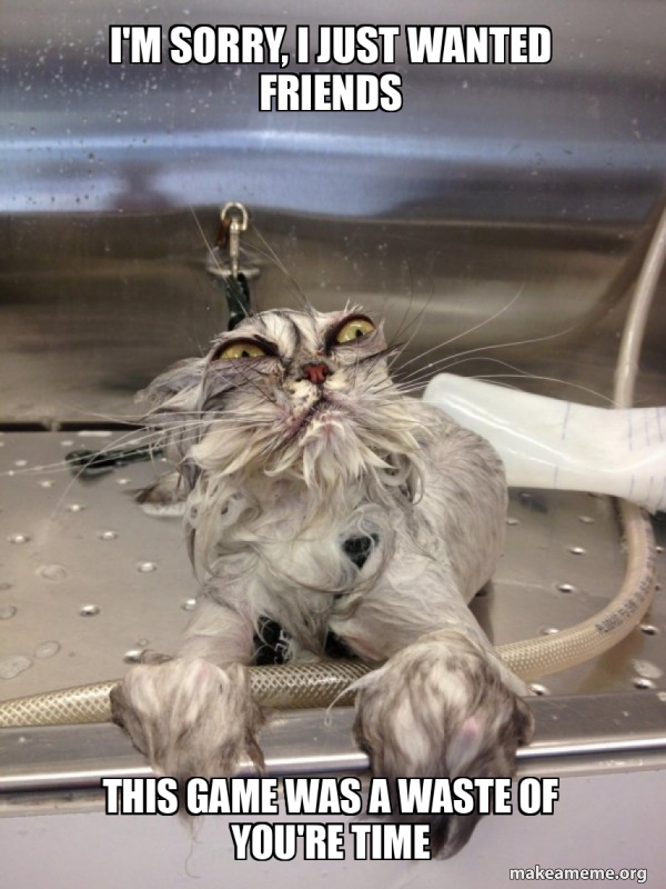 Cat Bath Returns meme