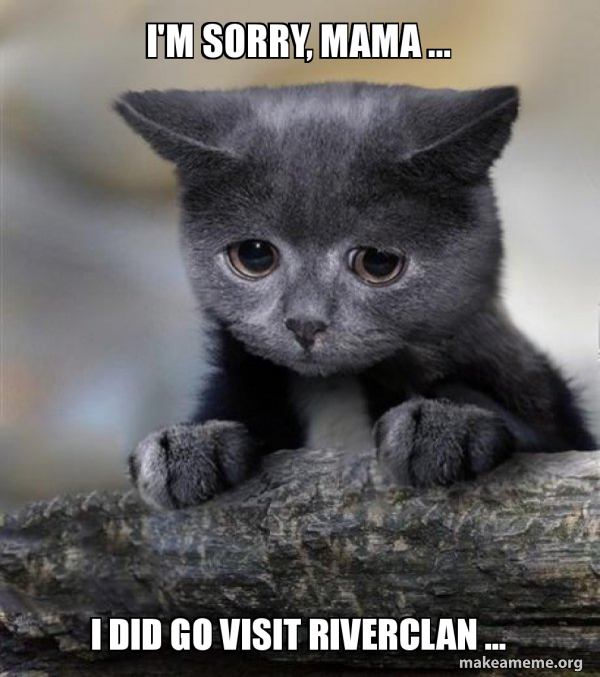 I M Sorry Mama I Did Go Visit Riverclan Confession Cat Make A Meme