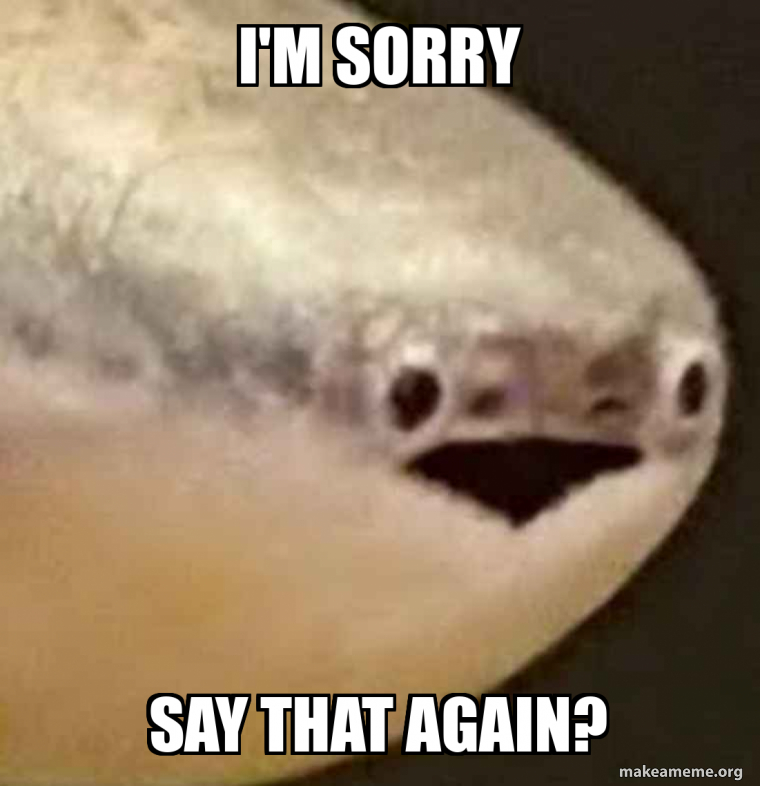 I'm sorry Say that again? Meme Generator