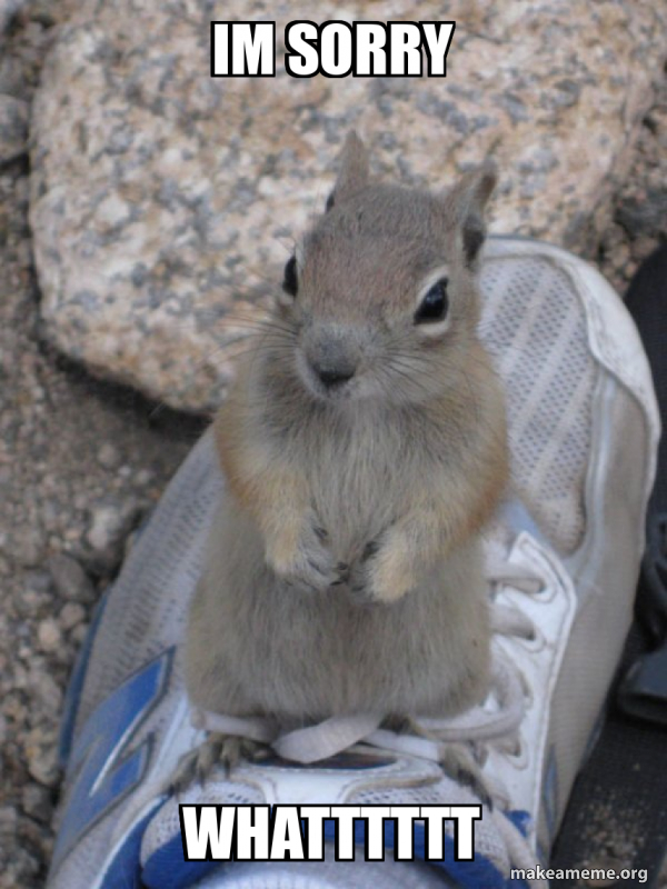Standover Squirrel meme