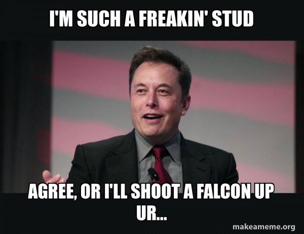 Elon Musk meme