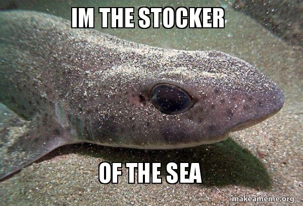 Dirty Joke Dogfish meme