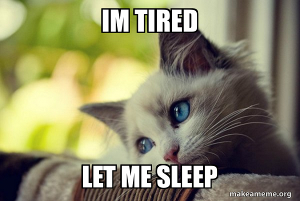 Im tired let me sleep - First World Cat Problems Meme Generator