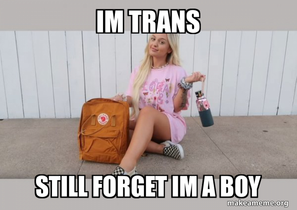 VSCO Girl meme