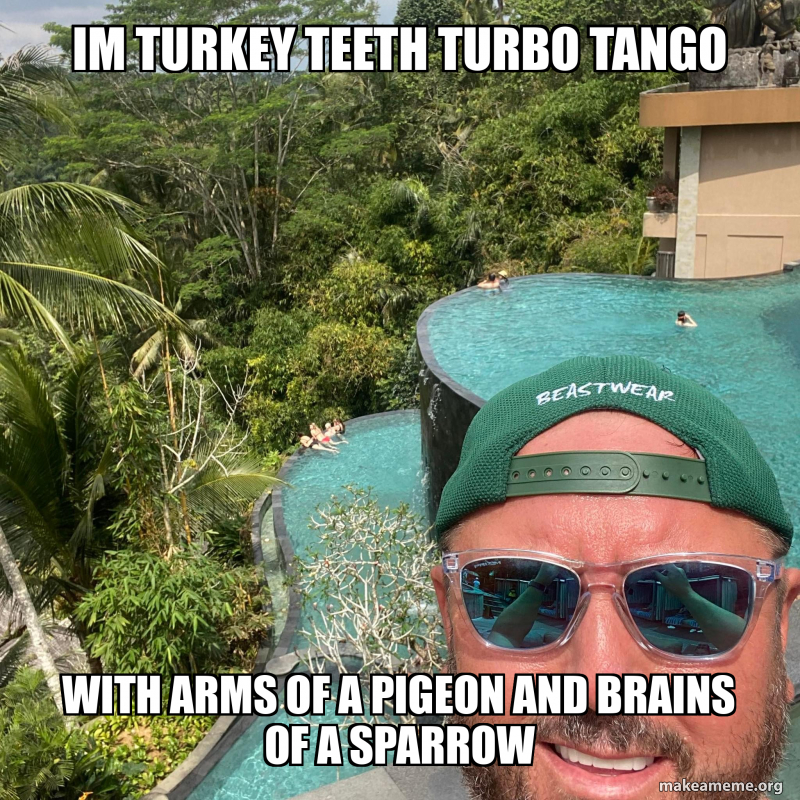 Im Turkey Teeth Turbo Tango With Arms Of A Pigeon And Brains Of A