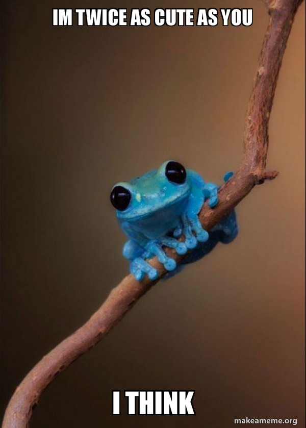 Small Fact Frog meme