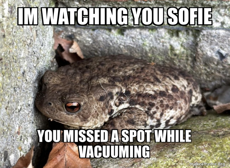 meme
