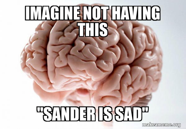 Scumbag Brain meme