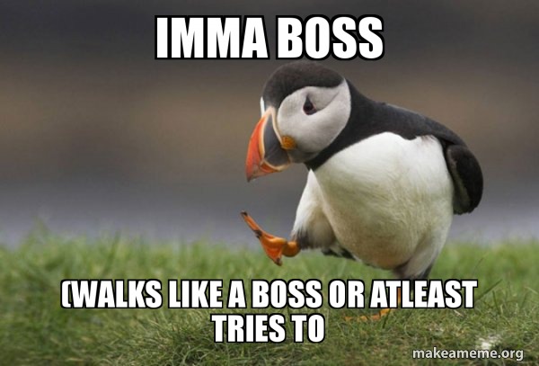 Unpopular Opinion Puffin meme