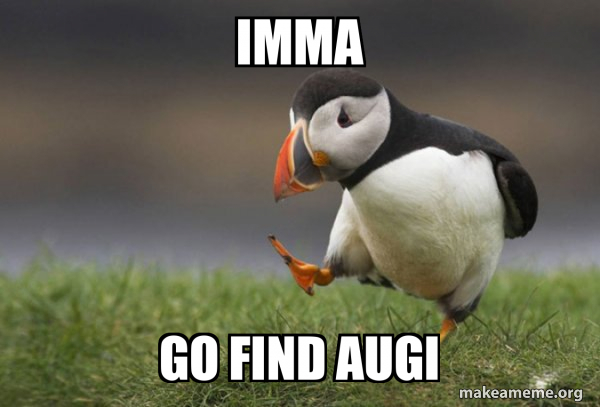 Imma go find Augi - Unpopular Opinion Puffin Meme Generator