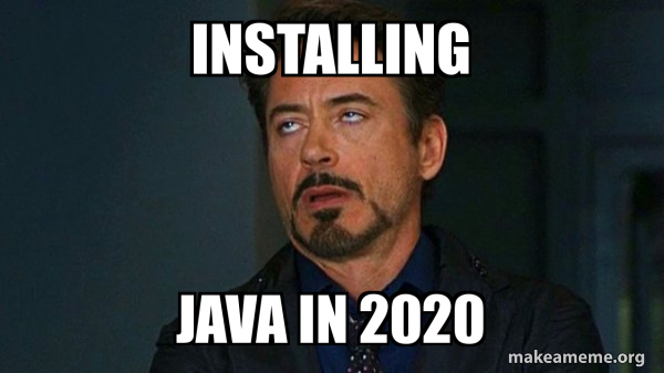 Installing Java in 2020 - Tony Stark Eye Roll Meme Generator