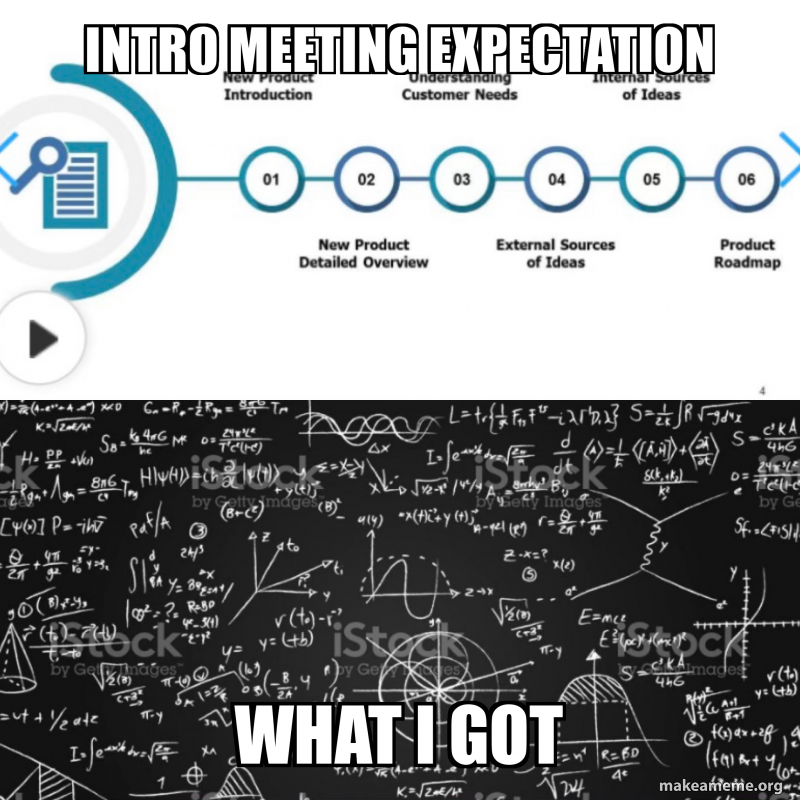 Program Expectations Meme intro meeting expectation What I got Meme Generator