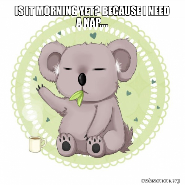 Aussie Koala doing the night shift meme