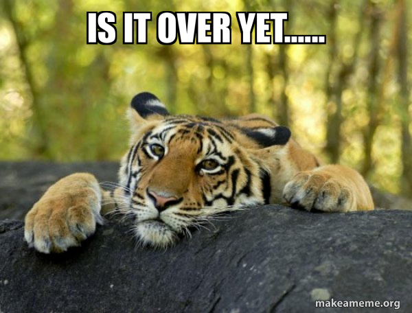 Confession Tiger meme