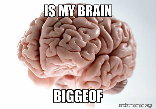 Scumbag Brain meme