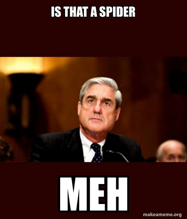 Robert Mueller meme