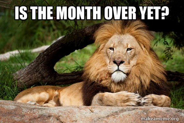 Contemplative Lion meme