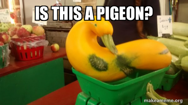 Gourd Advice Mallard meme