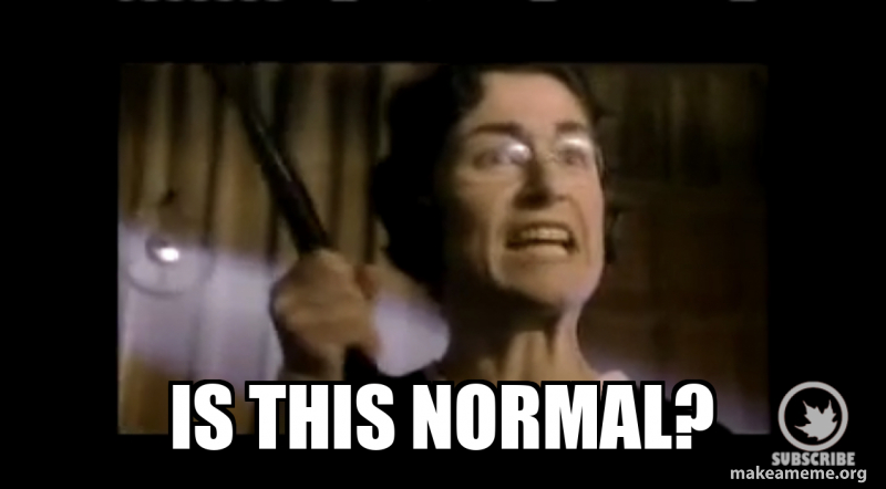 IS THIS NORMAL? Meme Generator