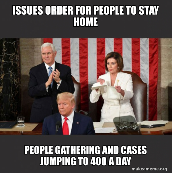 Nancy Pelosi ripping Trump's speech up meme