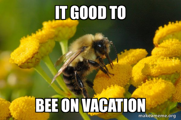 Good Guy Bee meme