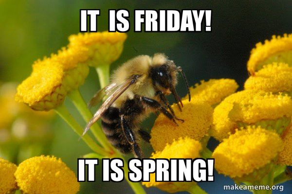 Re: The Bee Hive -- March 2025 Edition - Page 23 - Blogs & Forums