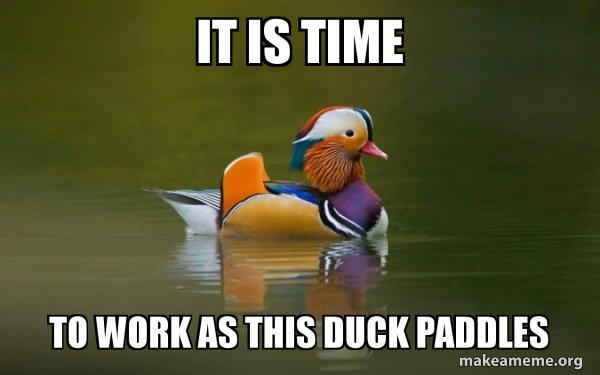 Fashionable Advice Mallard meme