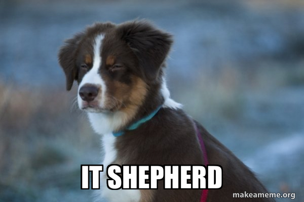 Unsure Dog meme