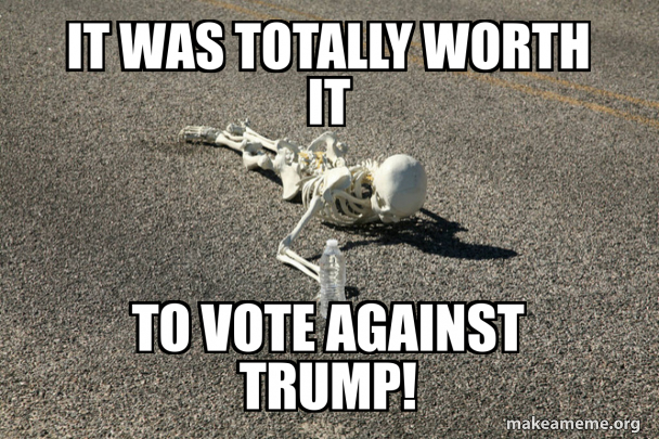 it was totally worth it to vote against trump! Meme Generator