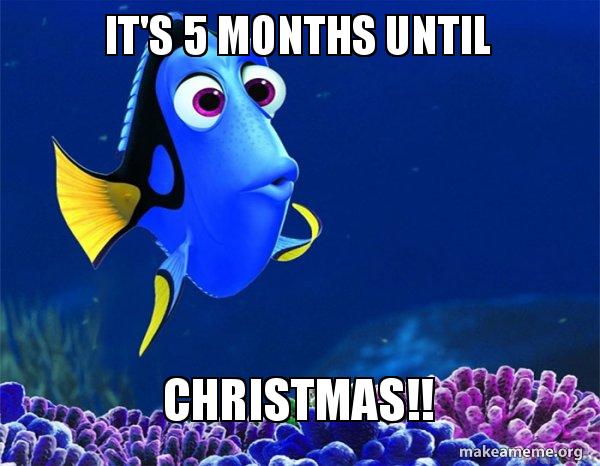 It's 5 months until CHRISTMAS!! - Dory from Nemo (5 second memory) Meme ...