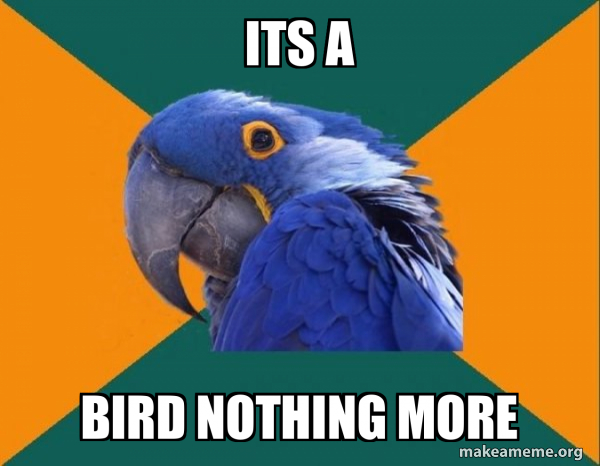 Paranoid Parrot meme