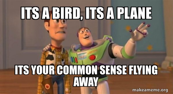 Its A Bird Its A Plane Its Your Common Sense Flying Away Buzz And