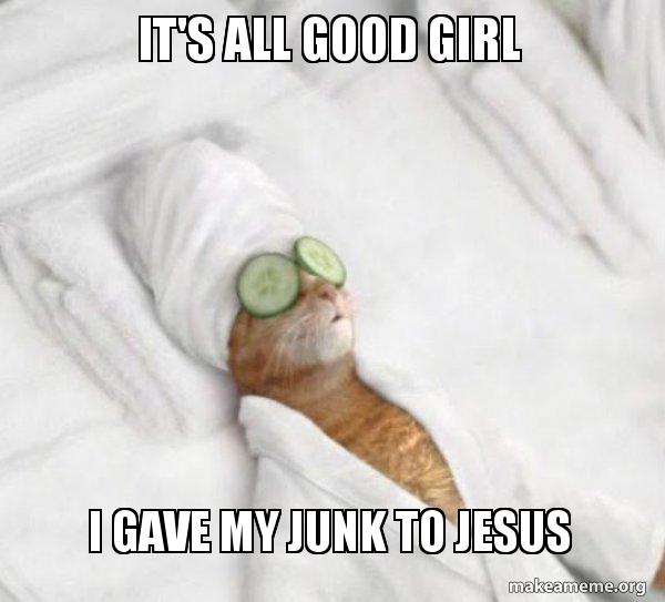 It S All Good Girl I Gave My Junk To Jesus Pampered Cat Meme Make A Meme It S All Good Girl I Gave My Junk To Jesus Pampered Cat Meme Make A Meme