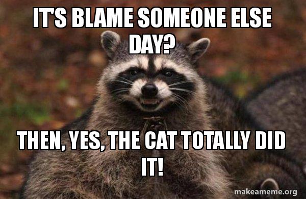 It S Blame Someone Else Day Then Yes The Cat Totally Did It Evil Plotting Raccoon Make A Meme