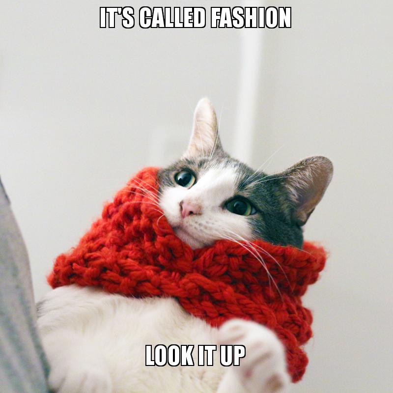 IT'S CALLED FASHION LOOK IT UP FASHION MEME Make a Meme