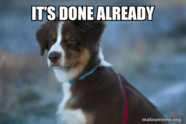 Unsure Dog meme