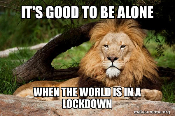 Contemplative Lion meme