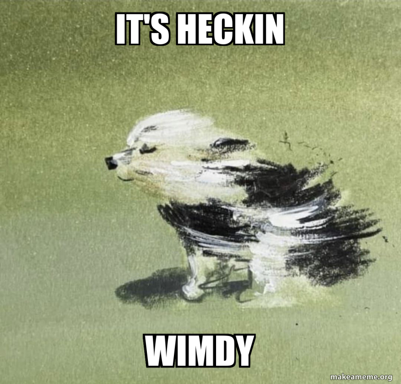 Its Heckin Wimdy Meme Generator 
