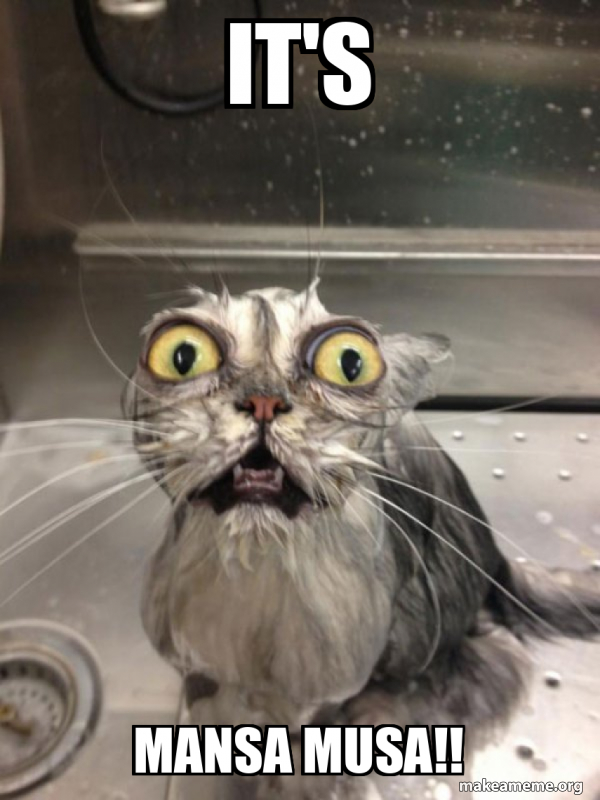 IT'S MANSA MUSA!! - Cat bath Meme Generator