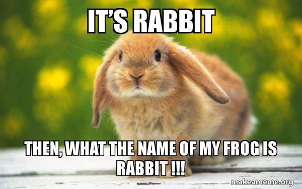 It’s rabbit THEN, WHAT THE NAME OF MY FROG IS RABBIT !!! - Regretful ...