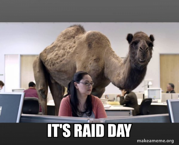 Hump Day Camel meme