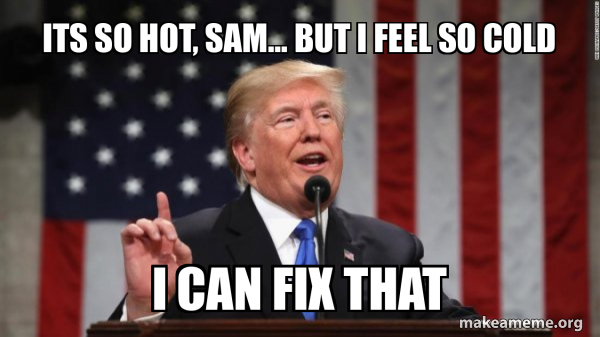 Donald Trump meme